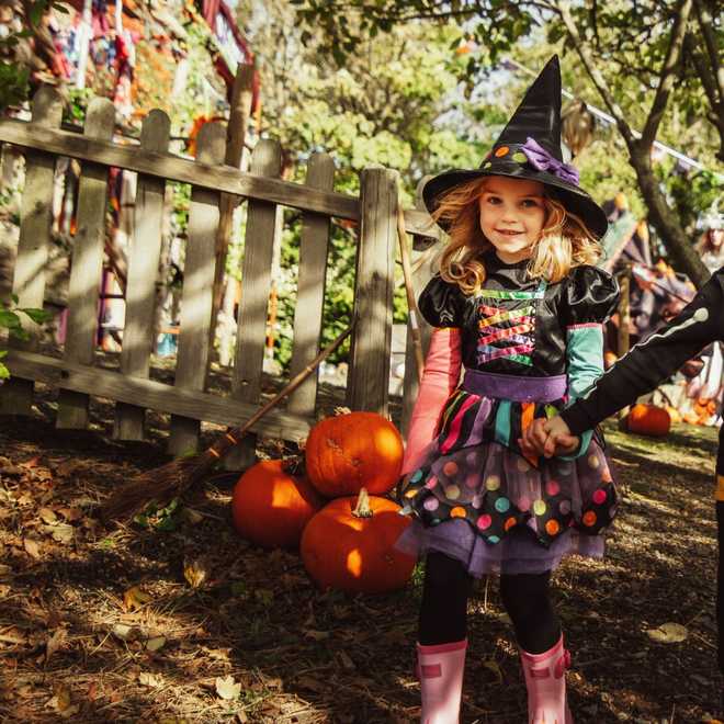 Summer and Halloween events at Blackgang Chine, Isle of Wight